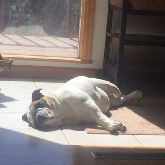 Meet your Posher, Sabrina - Picture 2 of 3